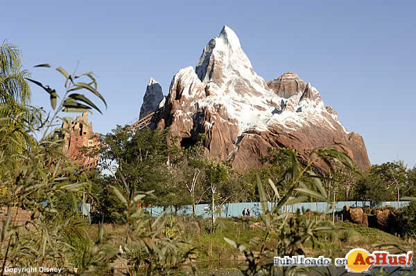 Imagen de Disney´s Animal Kingdom  Expedition Everest 7